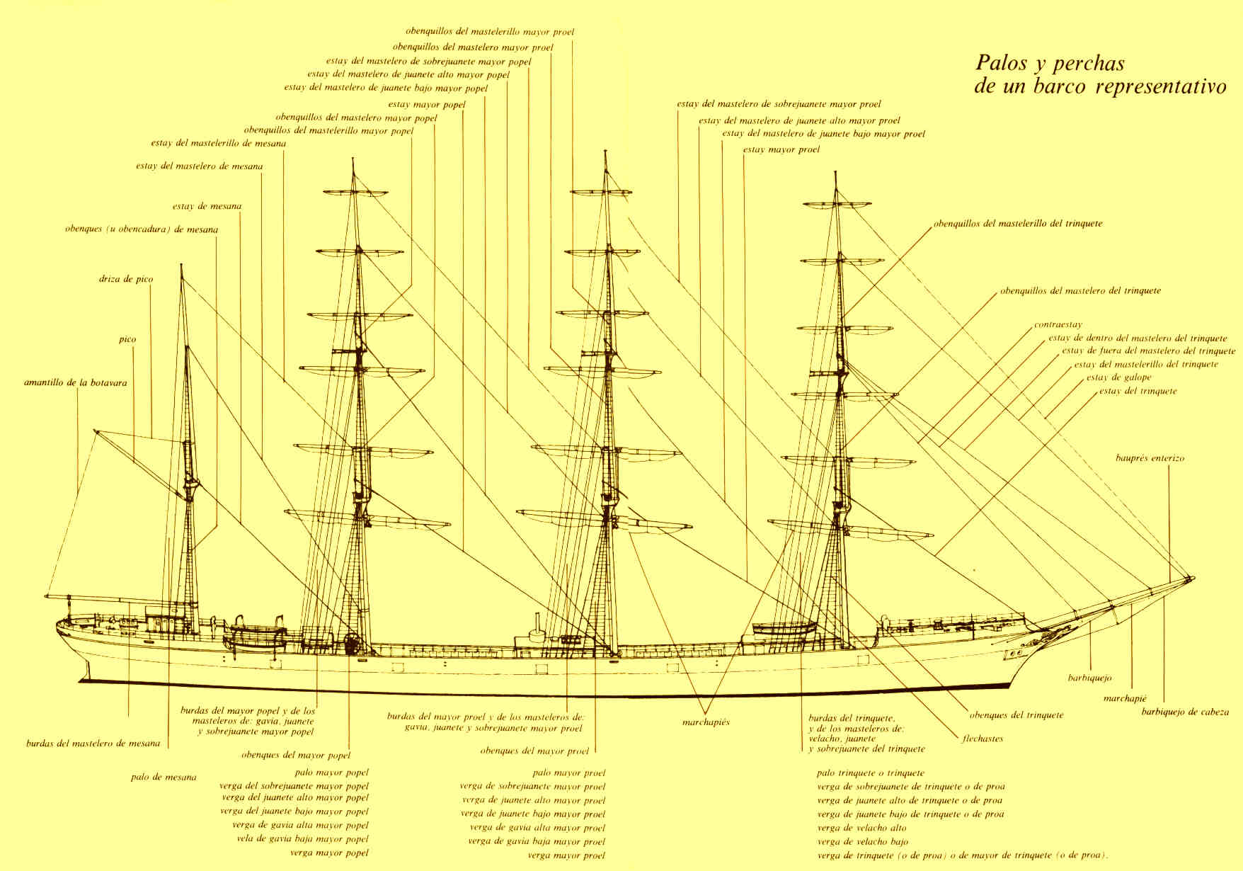 cortepalos.jpg (153072 bytes)