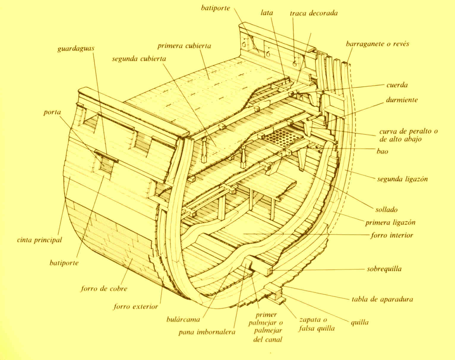 cortepersp.jpg (114356 bytes)