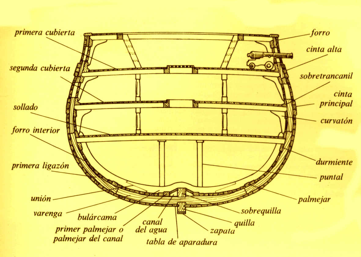 cortetrans.jpg (92624 bytes)