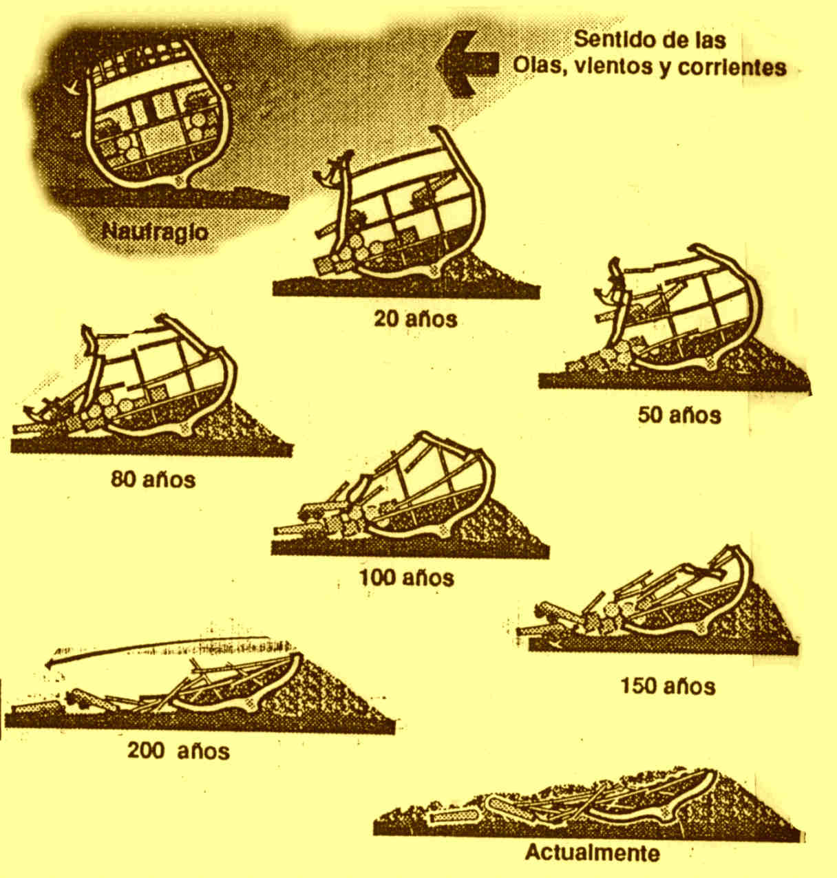 efectos.jpg (117018 bytes)
